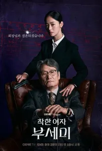 Госпожа Инкогнито / Хорошая женщина Бу Се Ми (сериал 2025)