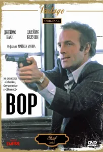 Вор (фильм 1981)